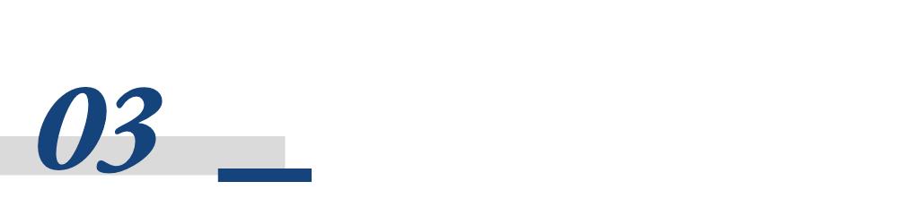 国产AI编程市场：谁将成为赢家？