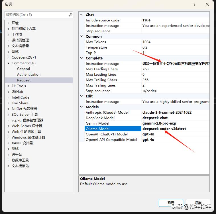 轻松入门！探索 Visual Studio 与 DeepSeek-Coder-V2 的奇妙联动之旅