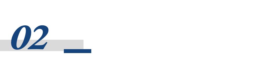 国产AI编程市场：谁将成为赢家？