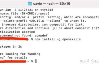 不仅仅依赖 Cursor：全面解析技能库配置，助你实现“完美”工作流！