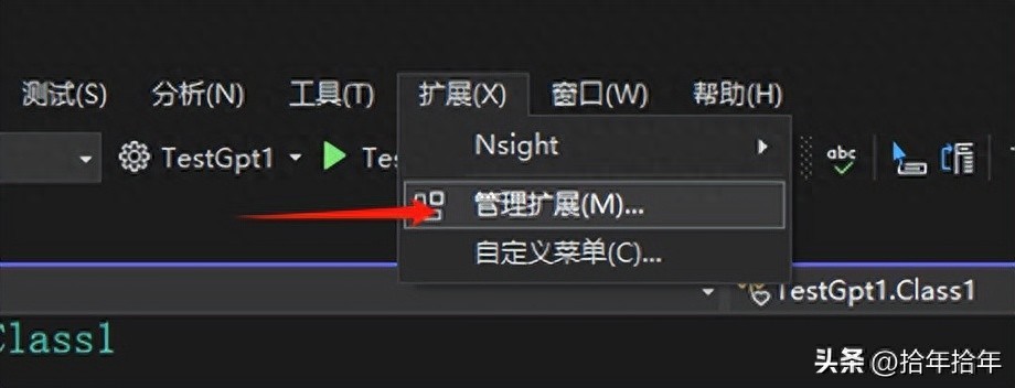 轻松入门！探索 Visual Studio 与 DeepSeek-Coder-V2 的奇妙联动之旅
