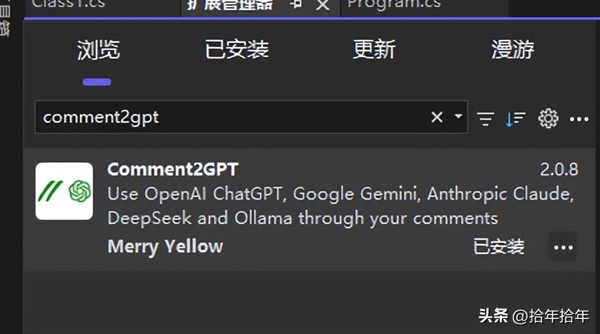轻松入门！探索 Visual Studio 与 DeepSeek-Coder-V2 的奇妙联动之旅