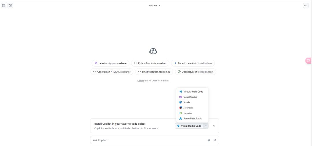 Copilot 使用界面