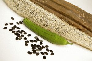 科学优化RAG场景中的top_p与seed参数配置策略