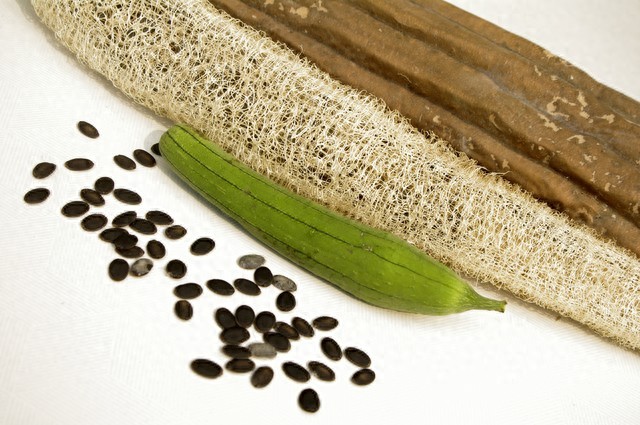 科学优化RAG场景中的top_p与seed参数配置策略