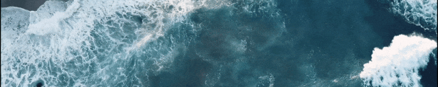 揭开AI智能体的神秘面纱：为何我们难以理解它们？