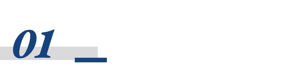 国产AI编程市场：谁将成为赢家？