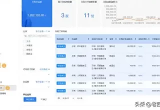小白用Qoder开发管理系统，还需要掌握哪些编程技能呢？