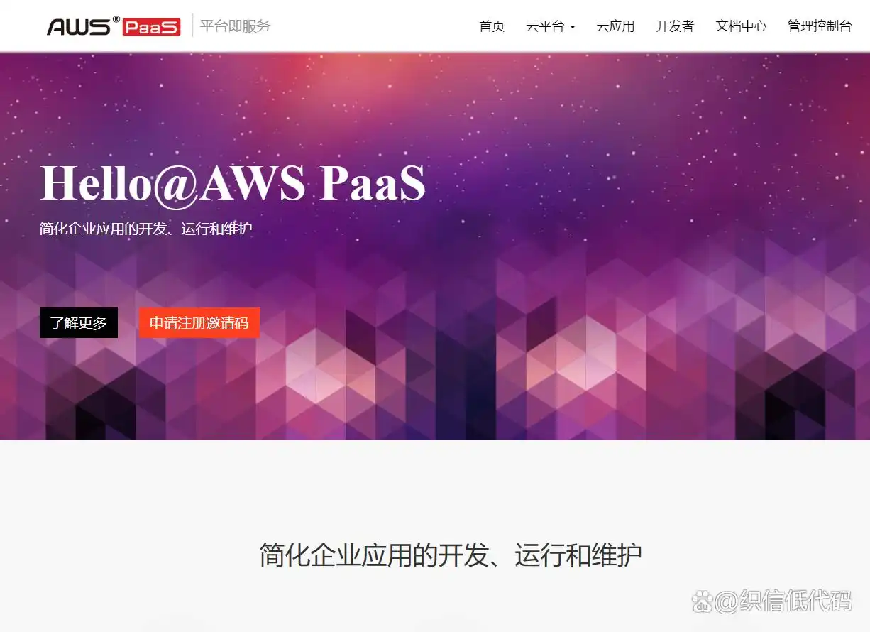 2024年终盘点：你绝不能错过的十大主流低代码平台！