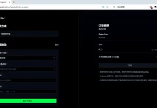 开发者面临Qoder积分危机，究竟该如何抉择？