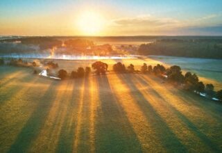 从小项目入手，轻松学会Python会计技巧！