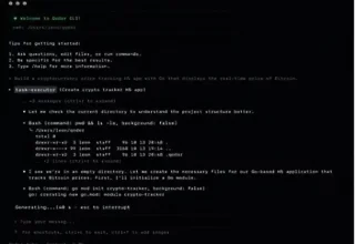阿里Qoder CLI：让你的开发效率飞起来的神器！