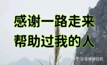 三个月后的新生活：离开 Trae AI 让我发现了什么新天地！
