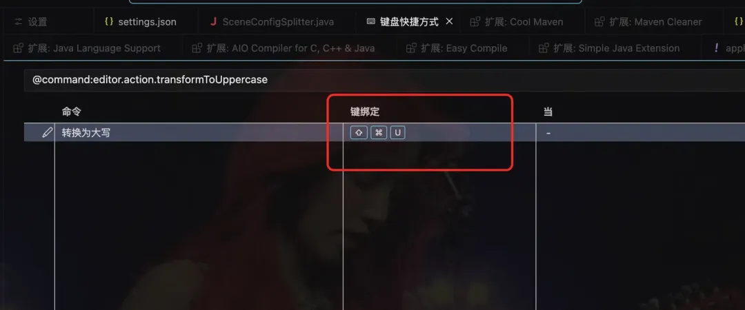 用Cursor开启你的JAVA+AI精彩之旅！