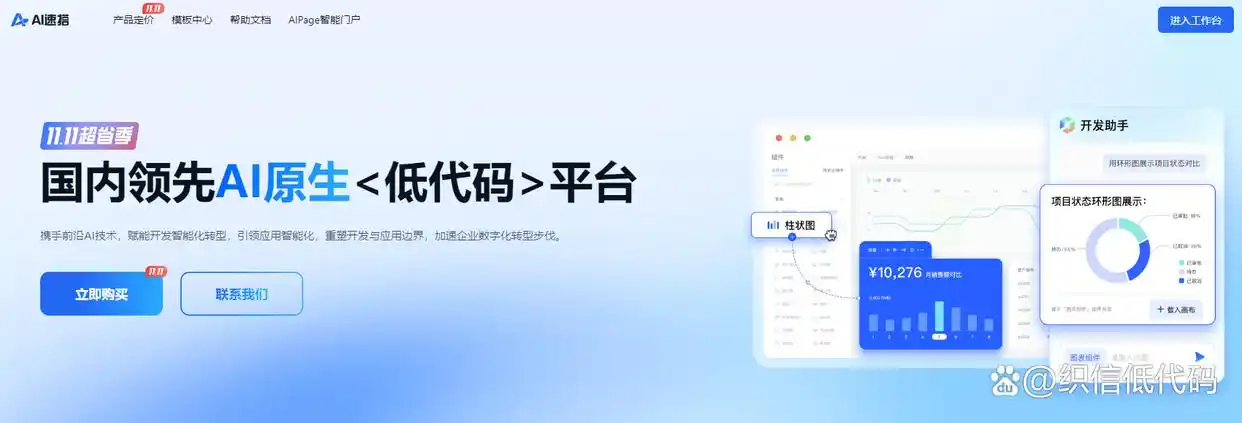 2024年终盘点：你绝不能错过的十大主流低代码平台！