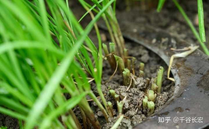 交易系统到底能简单到什么程度？——Tajok带你走进量化的世界！