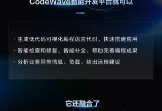 难以置信！网易数帆CodeWave如何用自研智能大模型彻底改变软件开发游戏规则