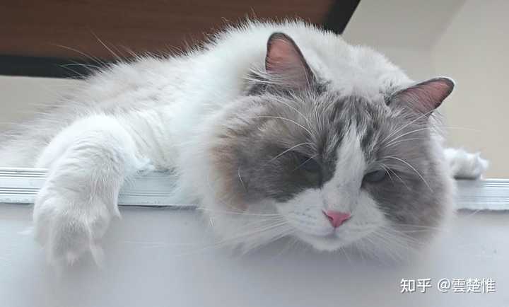 开发日常中的哪些任务可以放心交给AI?哪些又得我们亲自把控?