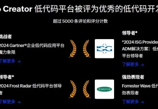 你知道吗？国内这些低代码平台各有千秋，究竟哪个最适合你呢？来看看官网、上线时间和价格吧！