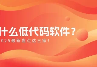 你知道吗？2025年低代码软件新星出炉，这三家绝对不能错过！