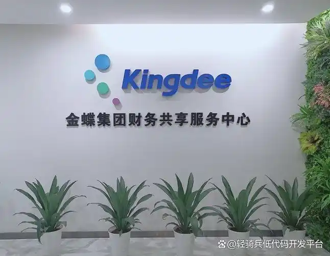 2025年中国低代码平台十大热门选择，快来看看你心仪的那款！