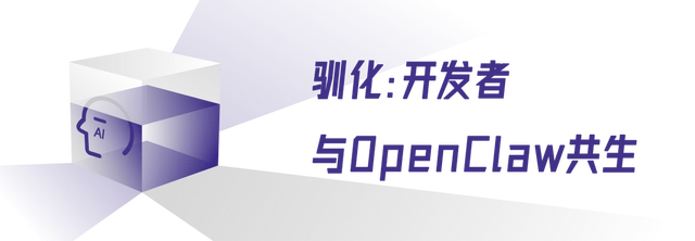 当我决定驯服OpenClaw，这背后到底隐藏着什么？