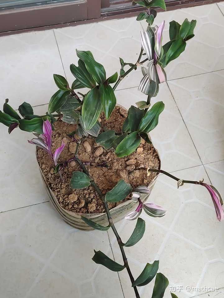 难怪你没见过哪个APP自称是AI编程开发的，像用cursor自动开发的那样！