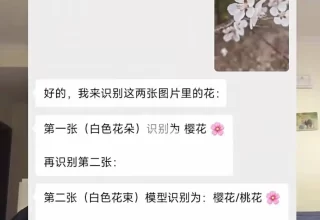 微信开放龙虾接口，零钱包的安全性究竟如何？你还敢用吗？