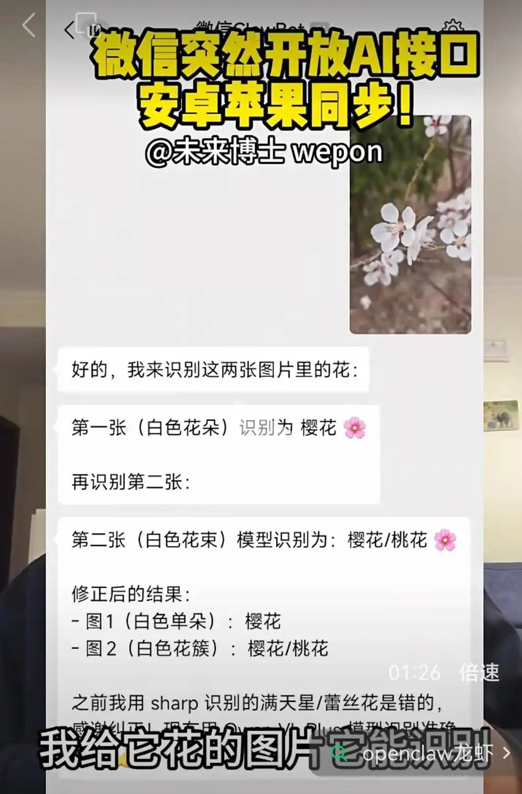 微信开放龙虾接口，零钱包的安全性究竟如何？你还敢用吗？