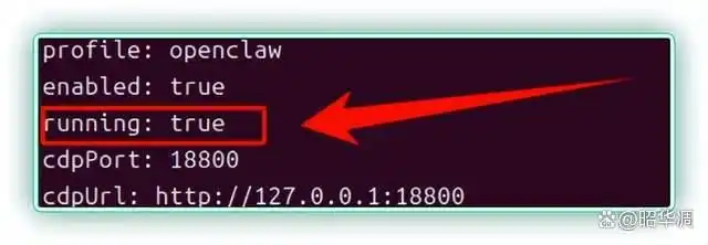 零刻OpenClaw固态升级包，让你轻松养龙虾，轻松变身生产力达人！