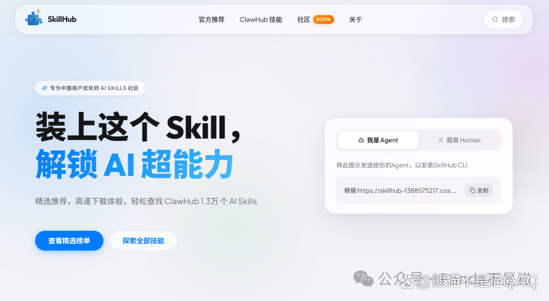 SkillHub