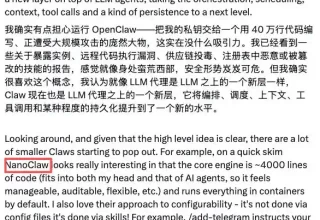 难以置信！假网站竟然排全网第二，真官网翻五页还找不到！NanoClaw创始人心碎：SEO大战，我快撑不住了！