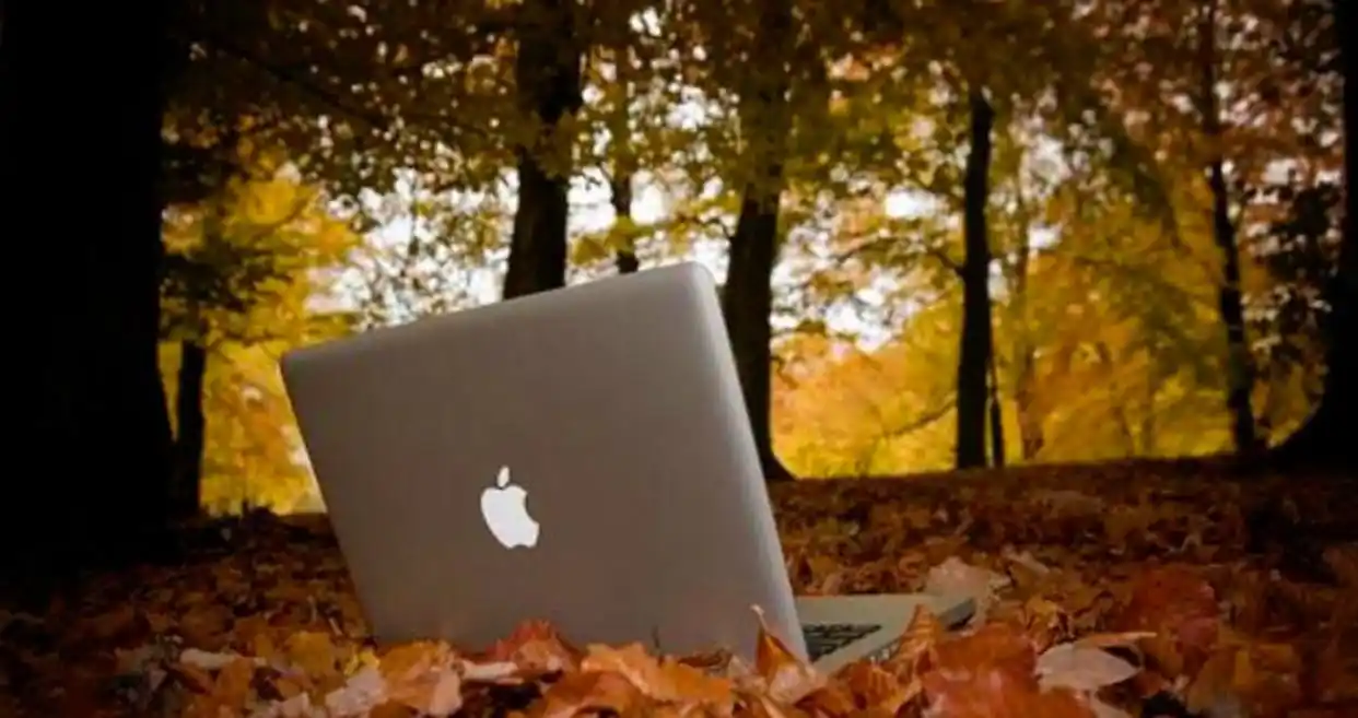 试用WorkBuddy真心觉得难上手,不仅要装软件,还得配置Python和Node.js,让新手愁眉苦脸!