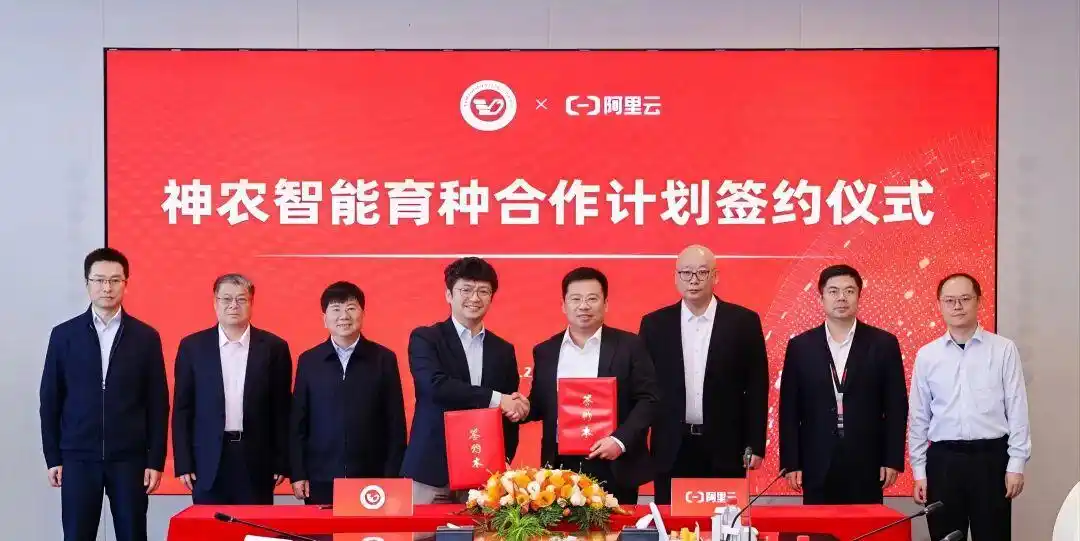 阿里云Q3财报劲爆来袭：增速高达36%，AI业务竟然实现三位数增长！