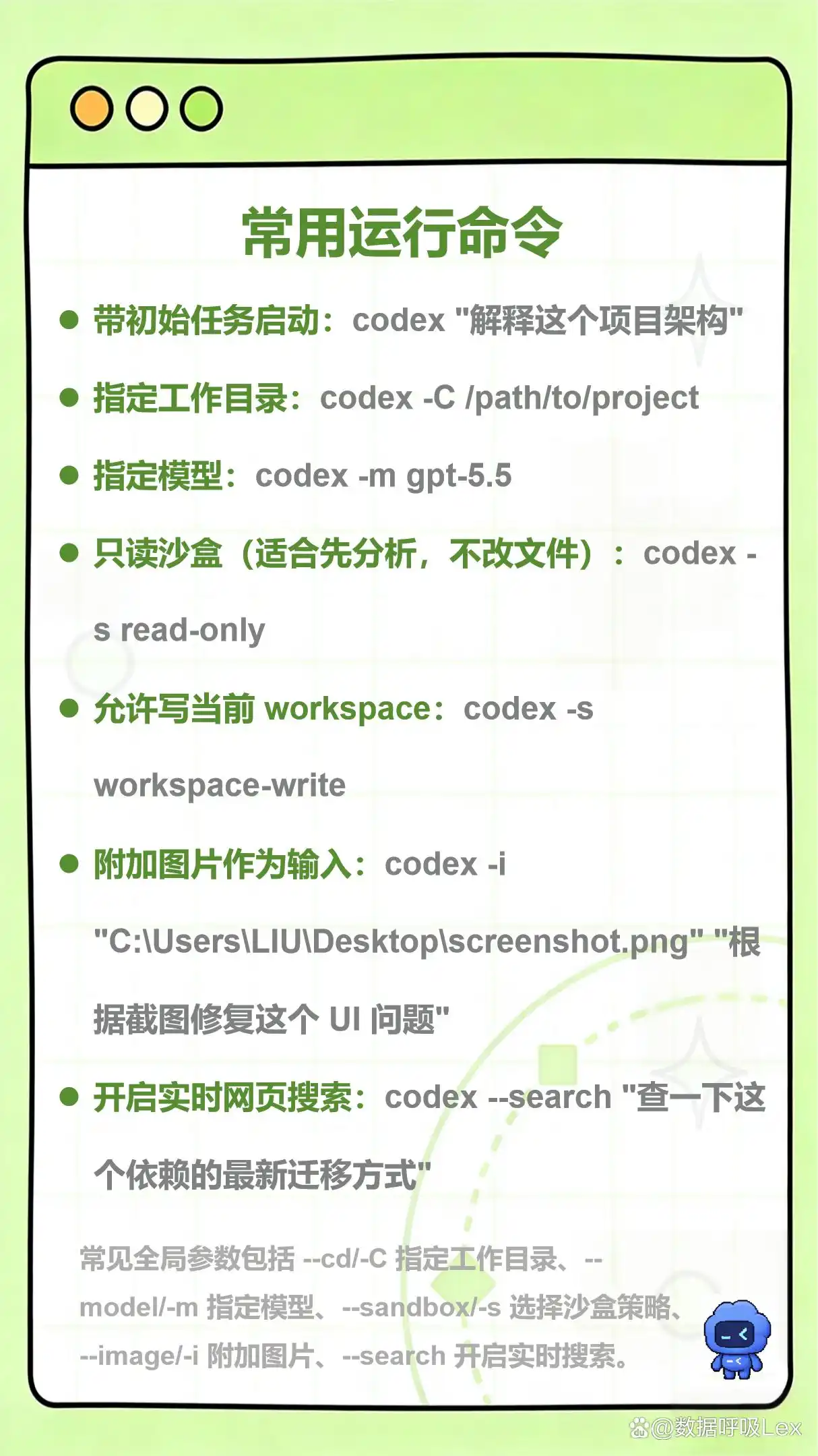 Codex命令大揭秘，快来看看这份必备指南吧！