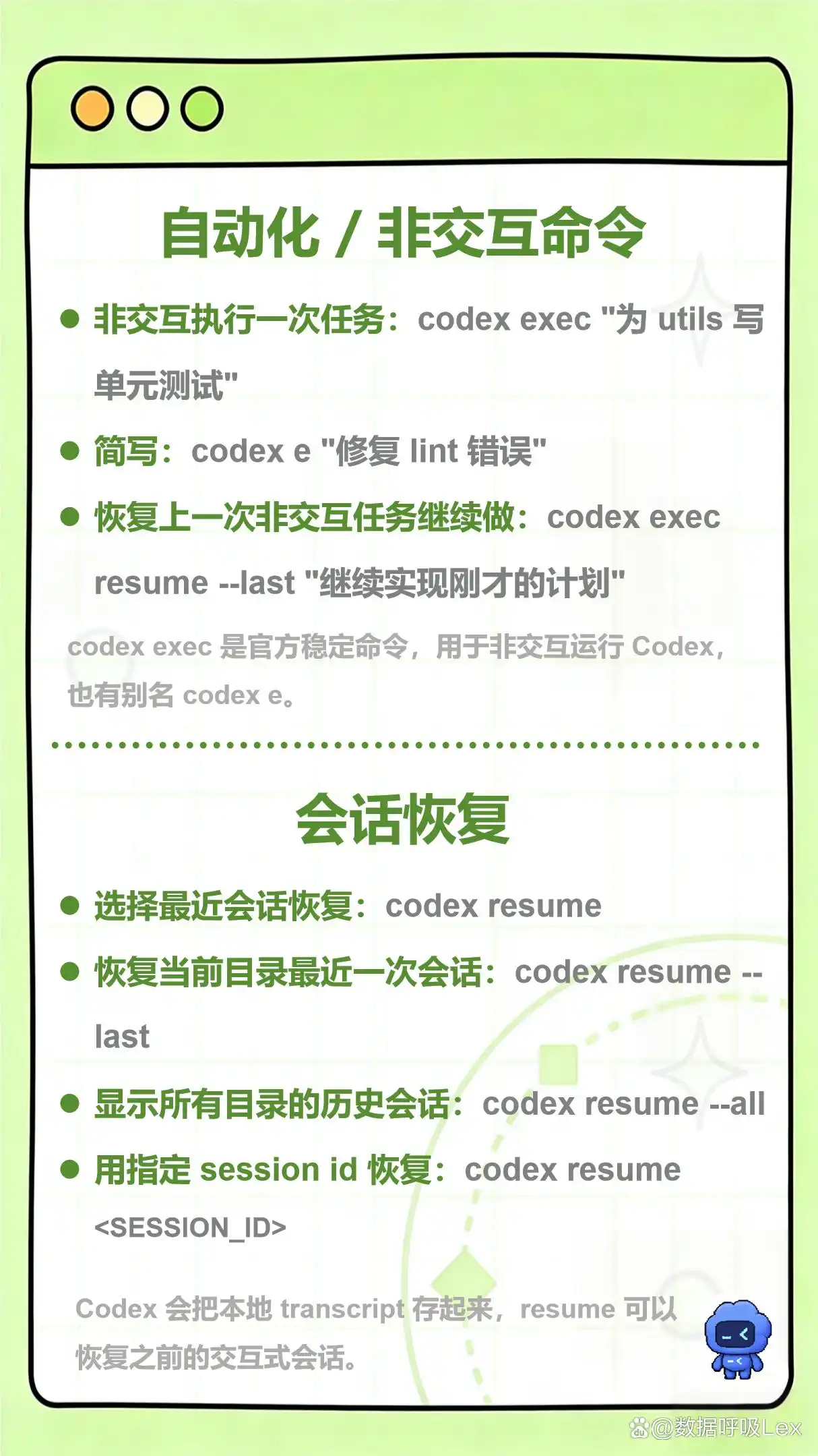 Codex命令大揭秘，快来看看这份必备指南吧！