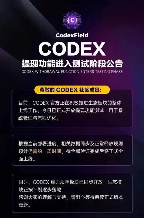 不充 Plus也能畅玩！三种Codex国内接入方案实测大揭秘！