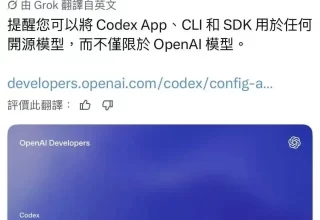 OpenAI邀第三方模型进Codex，真的是提高了工作门槛，不是放水！