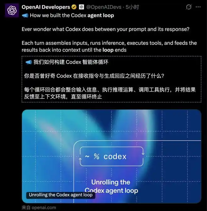 OpenAI逆袭来袭！Codex大脑首次亮相，8亿用户的极限架构竟然能硬刚Claude！