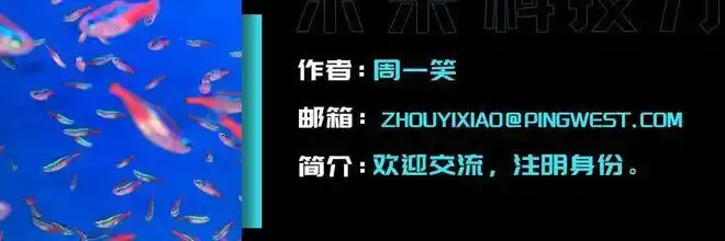 Codex竟然不打算放过Claude Code，真是有意思！