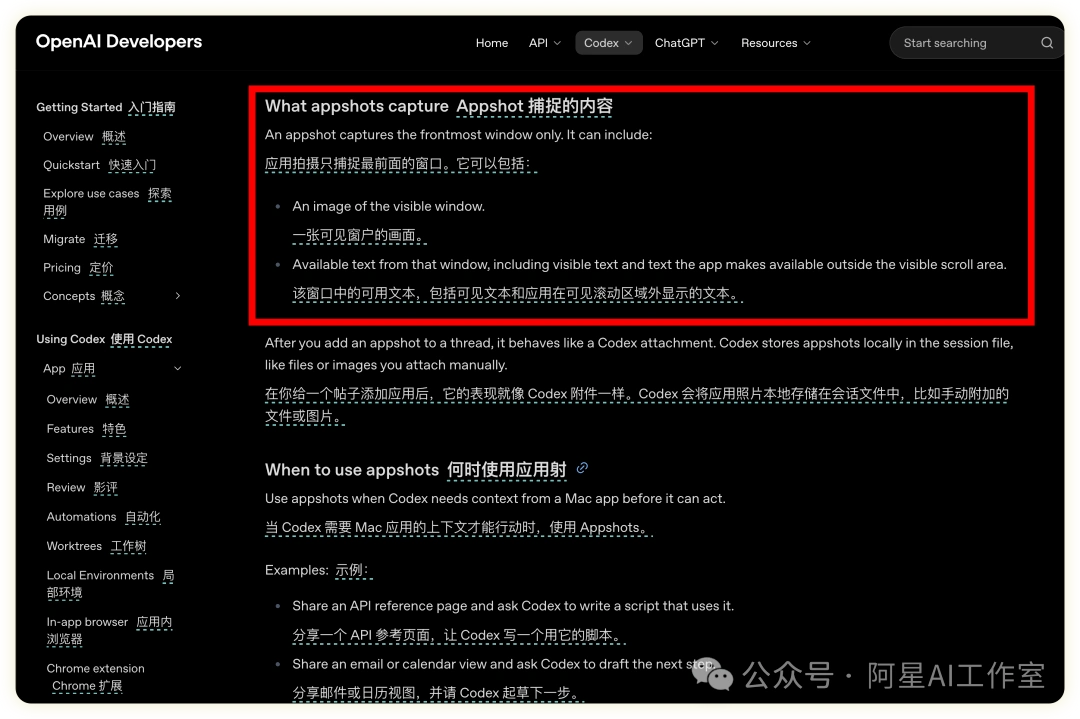 难以置信！这10个Codex技巧让你的工作效率瞬间翻倍！