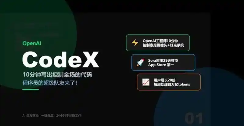 不充 Plus也能畅玩！三种Codex国内接入方案实测大揭秘！