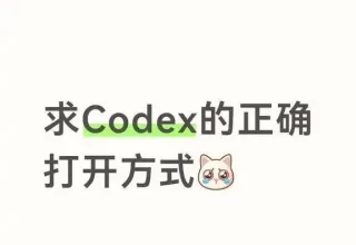 别再自责了！Codex新手劝退的真相，其实问题不在你！