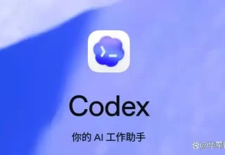 轻松上手！Codex超简单保姆级安装教程，附下载链接和使用技巧！