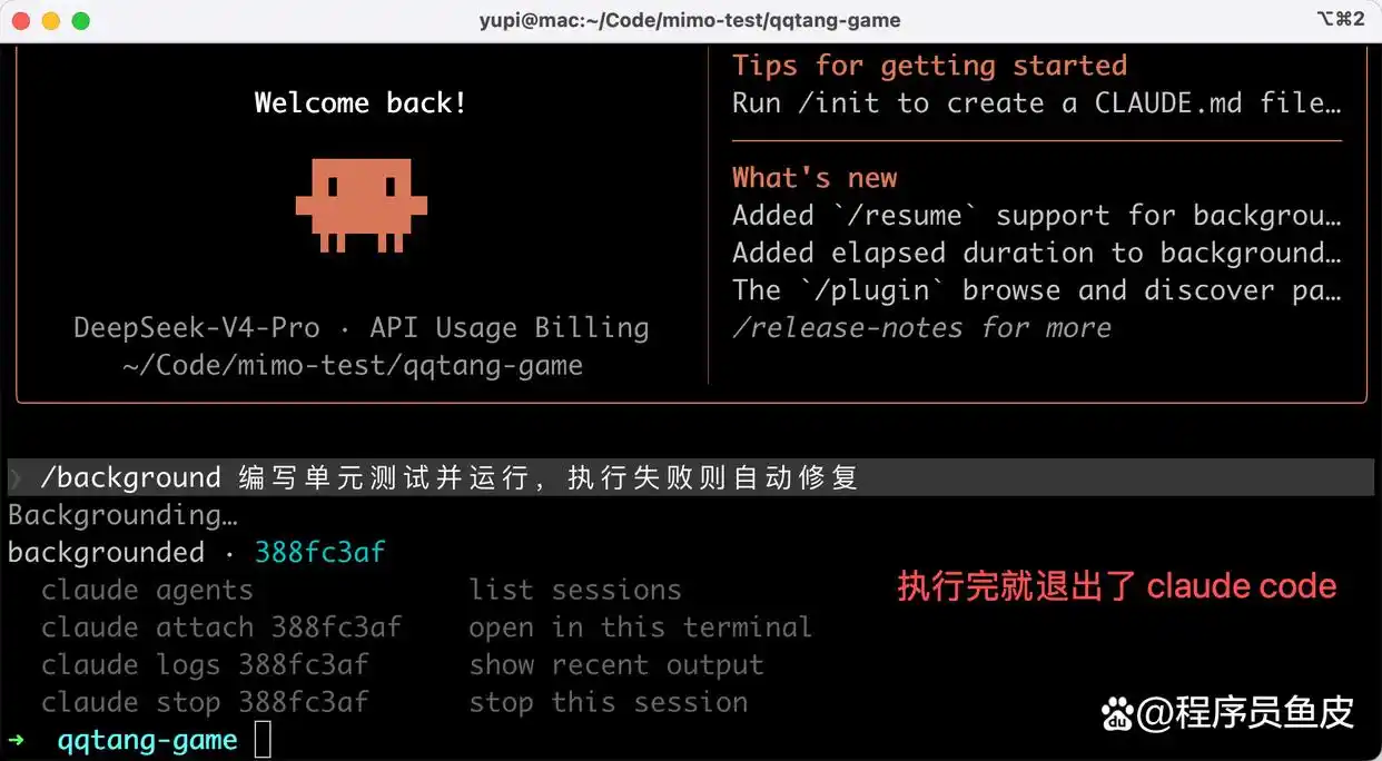 难以置信!Claude Code 30+ 斜杠命令全攻略,让你的效率瞬间翻倍!