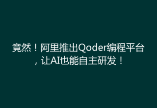 竟然！阿里推出Qoder编程平台，让AI也能自主研发！