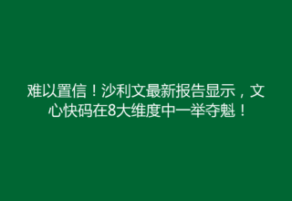 难以置信！沙利文最新报告显示，文心快码在8大维度中一举夺魁！