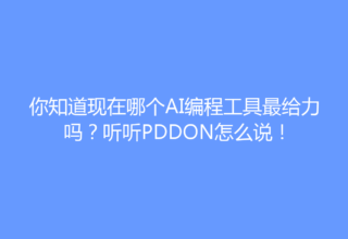 你知道现在哪个AI编程工具最给力吗？听听PDDON怎么说！