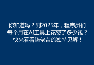 你知道吗？到2025年，程序员们每个月在AI工具上花费了多少钱？快来看看陈佬昔的独特见解！