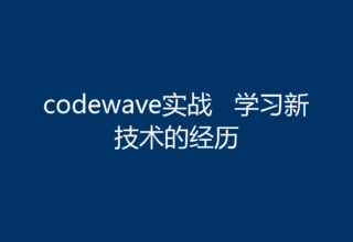 codewave实战   学习新技术的经历